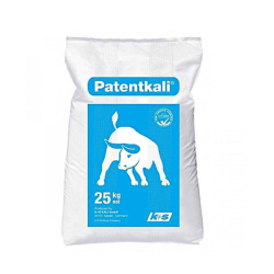 PATENTKALI SAC 25KG - BUC -