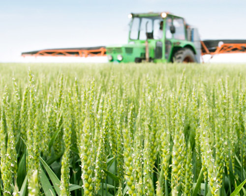 Ingrasaminte Foliare